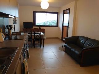 2TERIMP204 T2 neuf avec terrasse climatisation et parking Collioure - Collioure - 8