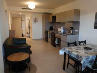 2TERIMP204 T2 neuf avec terrasse climatisation et parking Collioure - Collioure - 5