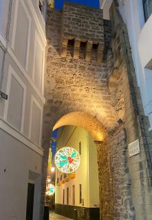 ARCO apartamento junto a la Catedral de Cádiz - Cadice - 6