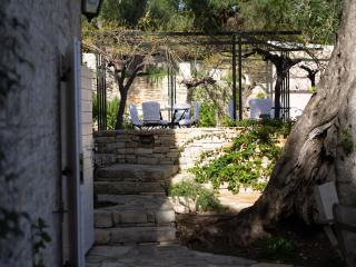 Agios Isavros - Magaziá - 3