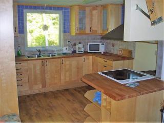 Awesome Home In Sävsjö With 1 Bedrooms And Sauna - Sävsjö - 7