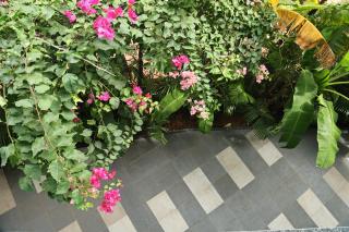Fusion Home - Anjuna - 8