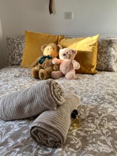 Cosy Camden 1 Bedroom Terrace Apartment - Londra - 9