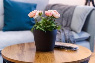 Central Victoriei Plaza apartment - by Open House apartments - Timişoara - 7