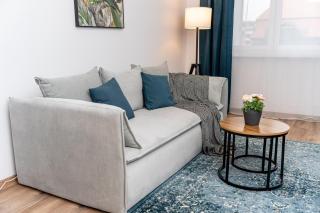 Central Victoriei Plaza apartment - by Open House apartments - Timişoara - 4
