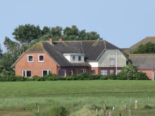 Gästehaus Tadenswarf - - 1