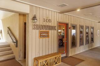 Shadowbrook 104 - Snowmass Village - 2