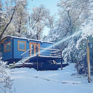 Dos Tiny Houses Mágicas para Escapadas en la Naturaleza Ideal para dos parejas - San Martín de los Andes - 0