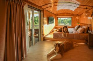 UHAUS Train Cabin Resort - Ban Sai Yok - 5