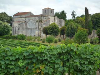 Fleurs de vigne, gîte charentais au grand coeur - 8