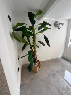 Suite Margò - Bari - 5