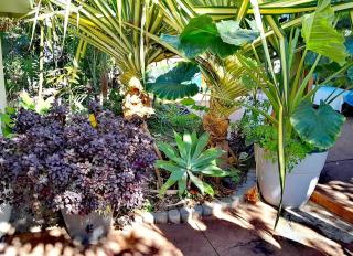 Kaz Nature - 4 minutes en voiture des plages - Jardin Tropical - 7