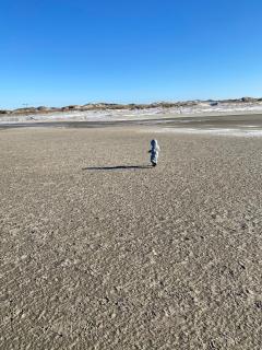 Ferienwohnung "Seewind" direkt an der Nordsee - Sankt Peter-Ording - 4