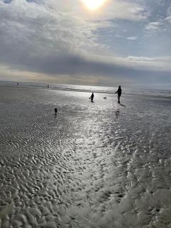 Ferienwohnung "Seewind" direkt an der Nordsee - Sankt Peter-Ording - 1