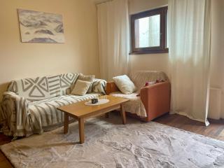 Mountain view 1-bedroom apartment few steps from ski piste and Gondola lift - 8