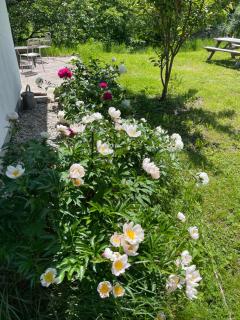 Aula Verde Ferienhaus - 2