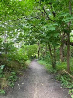 In The Nice Gilleleje Area, Only Approx, 700 Meters From The Water, - Gilleleje - 2