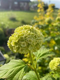 Warminska Hyttka - 2