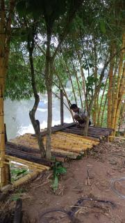 The wayside cottage Munnar - 7
