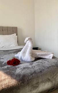 K Boutique Hotel MedSpa-Pyramids & Grand Egyptian Museum - Cairo - 2