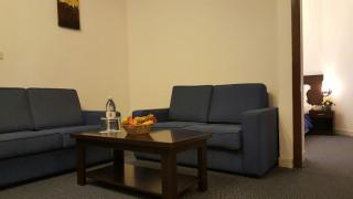 Manhattan Avenue Hotel - Dubai - 5