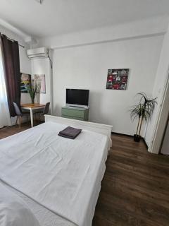 Franceza Street 3Bedroom Apartment - Bucarest - 8