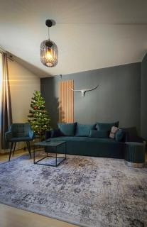 NUWILU TWO - WOHLFÜHLAPARTMENT im Herzen Erfurts - Magenta TV- Netflix - Disney - Erfurt - 0