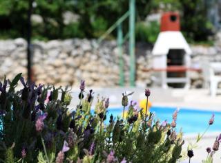 Luxury Lovran Apartments with Swimming Pool - Lovran - 1