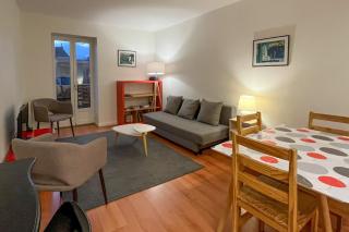 Appartement idéal en plein centre ville proche lac - Annecy - 8