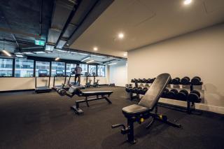 Box Hill Whitehorse Haven 2B2BApt Free Parking - Box Hill - 6