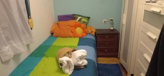 Gascona con Deli - 3