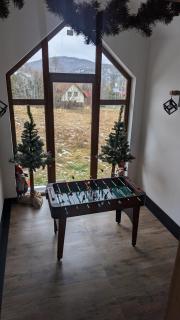 APARTAMENTY UL.SARNIA - Wisła - 9