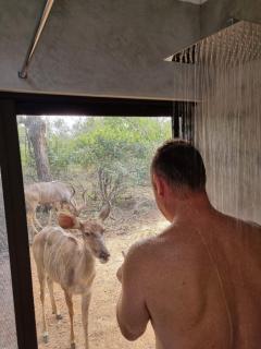 Ratel Katel - Marloth Park - 3