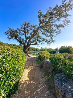 Villa Clementina - Sainte-Lucie de Porto-Vecchio - 3