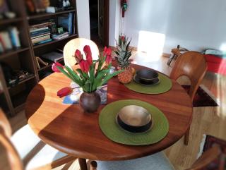 Gemütliche Ferienwohnung in Agra - 7