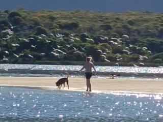 Scenic Bliss Holiday Home - 5