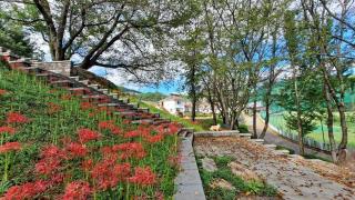 Hapcheonho View Smile Pension - - 7