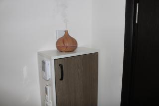 studio apartman Najdanović - Vrnjačka Banja - 1