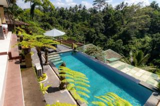 Doni House & Villas - Ubud - 6