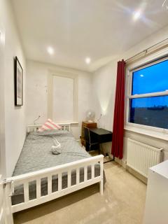 Bright, Modern Flat in Brixton - Londra - 4