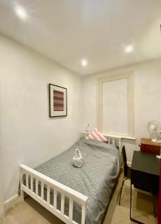 Bright, Modern Flat in Brixton - Londra - 3