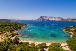 Villa Salinedda - Cap Coda Cavallo - 7