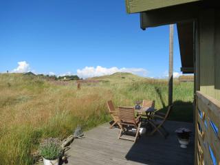 Scenic Holiday Home In Skagen - 3