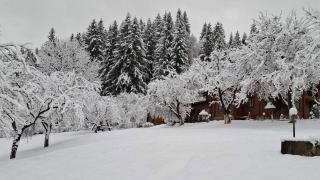 Райський куточок - 5