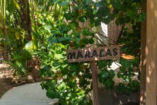 Casa Mariposa Beach Hotel - 1