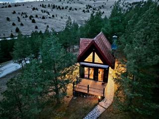 Previja Zlatibor Chalet - Zlatibor - 8