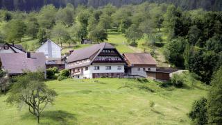 Ferienhof Brutoni - Bad Peterstal-Griesbach - 3