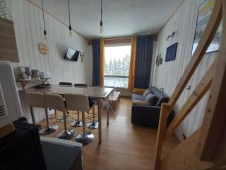 Studio rénové au pied des pistes, idéal pour 4 pers, avec WiFi, animaux acceptés, casier à skis inclus - FR-1-787-54 - Laveissière - 9