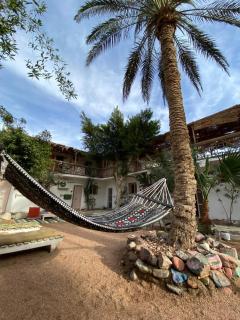 Sunrise Dahab lodge - Dahab - 6