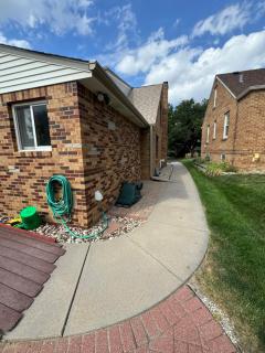 Williams - Omaha - 4